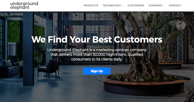 Underground Elephant